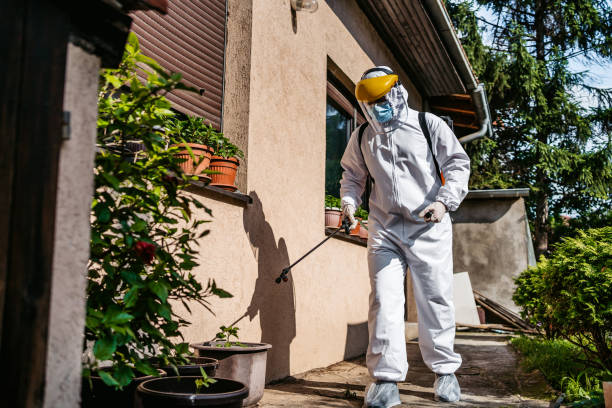Best Insect Control  in Oakhurst, CA