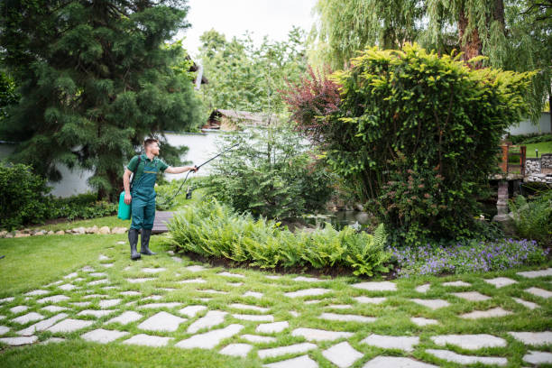 Best Residential Pest Control  in Oakhurst, CA