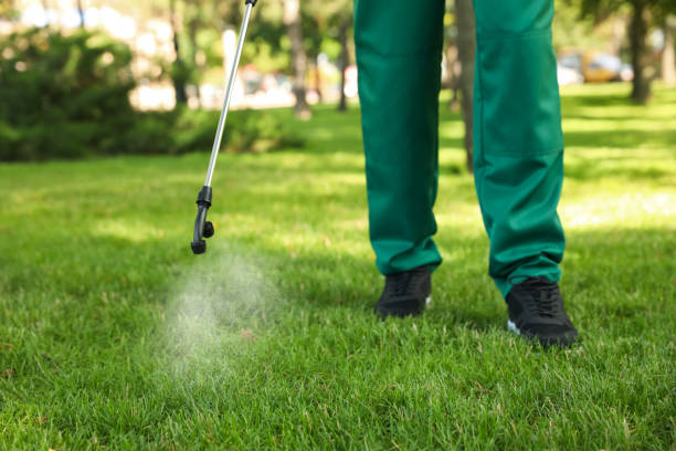 Best Local Pest Control Services  in Oakhurst, CA