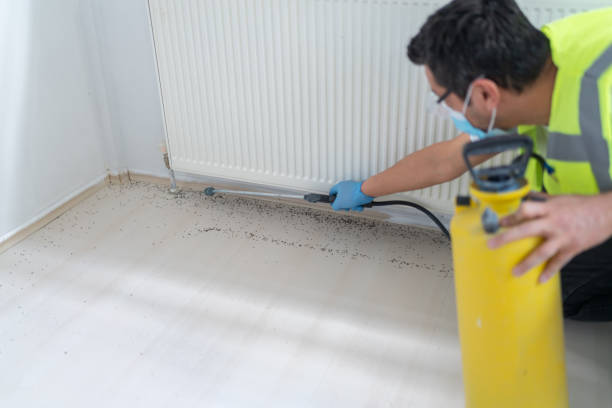 Best Pest Removal Services  in Oakhurst, CA